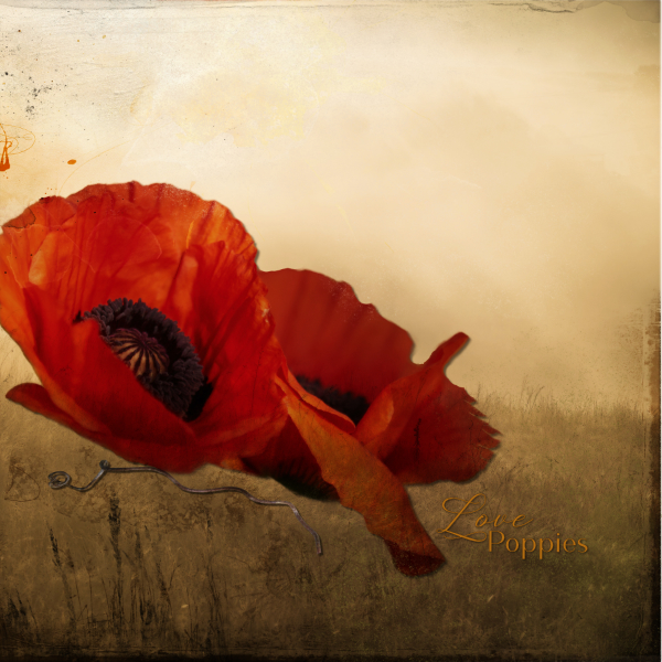 Anna-color challenge5-11. Poppy.jpg