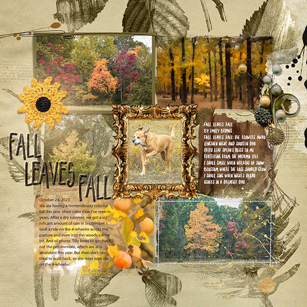 Anna Color - Fall Leaves Fall