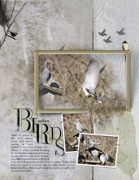 Anna Color Lift_01-19-18_Welfare Birds