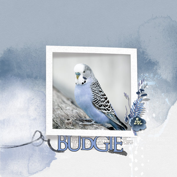 Anna Color Lift_03-02-18_Budgie