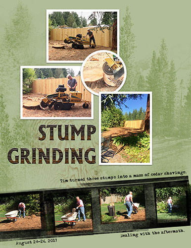 Anna Color Lift_08-25-17_Stump Grinding