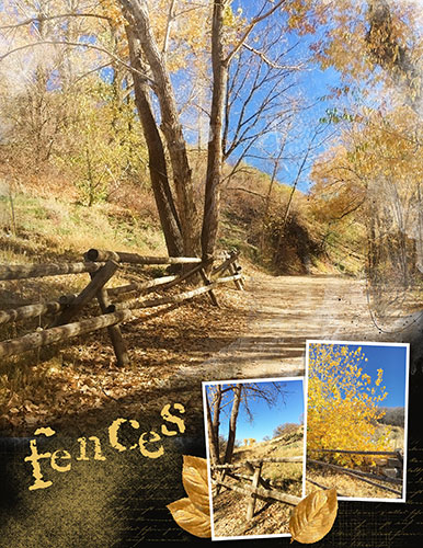 Anna Color Lift_10-20-17_Fences