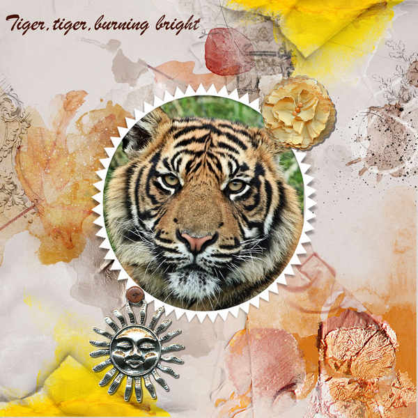 Anna Color Tiger, Tiger