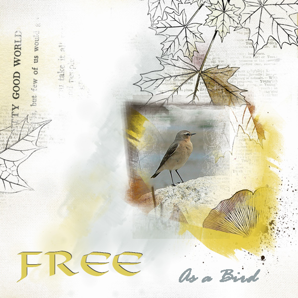 Anna Lift 1 - Free as a Bird