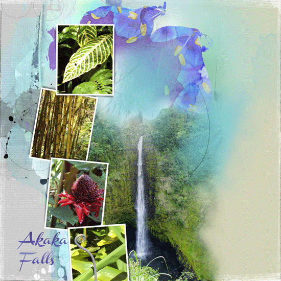 Anna Lift - Akaka Falls HI