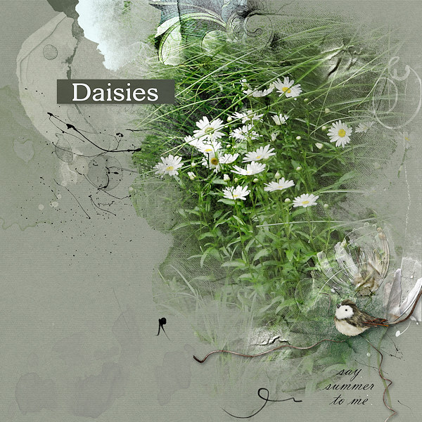 Anna Lift - Daisies