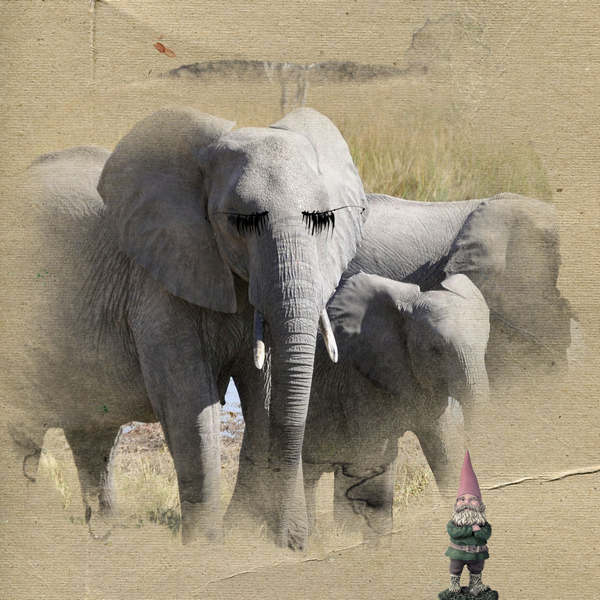 Anna Lift - Flirty elephant