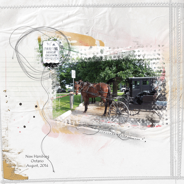 Anna Stitch Challenge - Reserved for Amish Parking