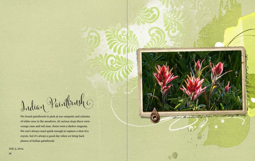 AnnaChallenge - Blend It! - Indian Paintbrush