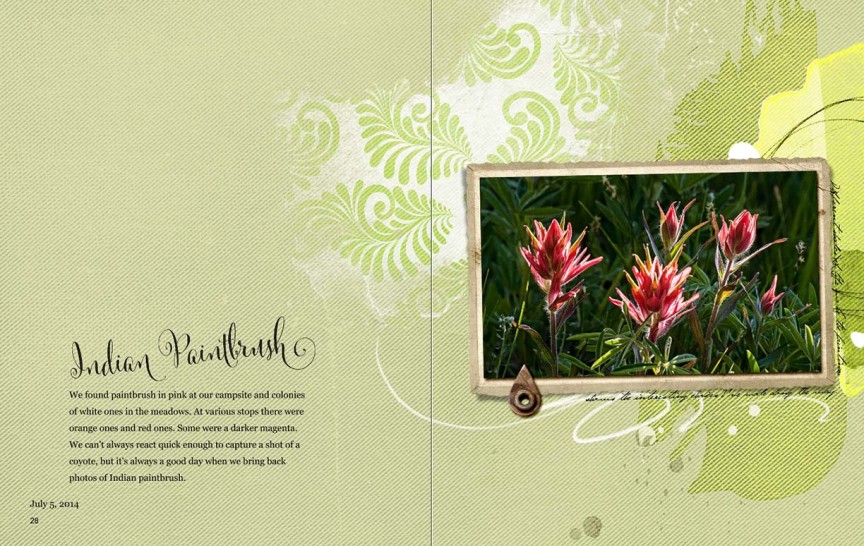 AnnaChallenge - Blend It! - Indian Paintbrush