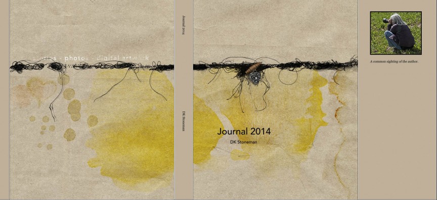 AnnaChallenge - Stitch It! - Book Jacket