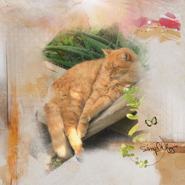 AnnaChallenge-Warm It Up (Aug 5-18)  - Cat Nap