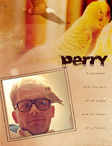 AnnaChallenge_ThingsThatFly_Perry