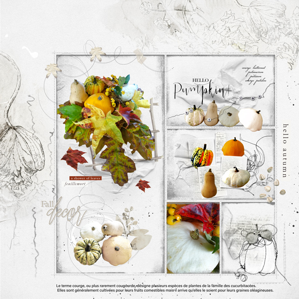 AnnaColor 10.10.2020 - 29.10.2020