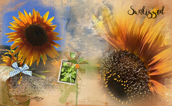 AnnaColor 5-13 Sunflowers