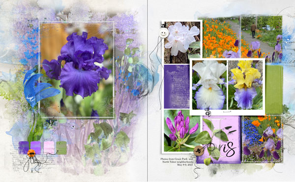 AnnaColor 5-7 Artsale Meadow Collection Irises