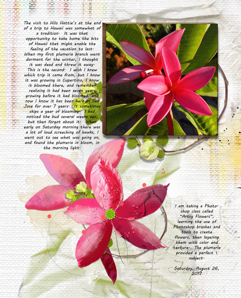 AnnaColor 8-25 Plumeria