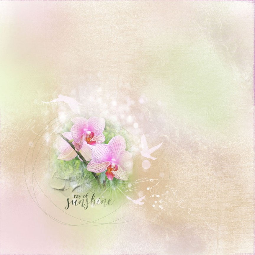 AnnaColor Challenge 01.15.2016-01.29.2016