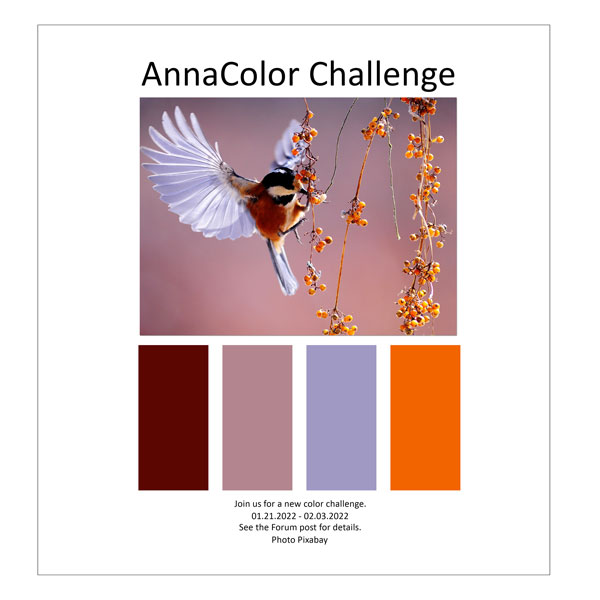 AnnaColor Challenge 01.21.2022 - 02.03.2022