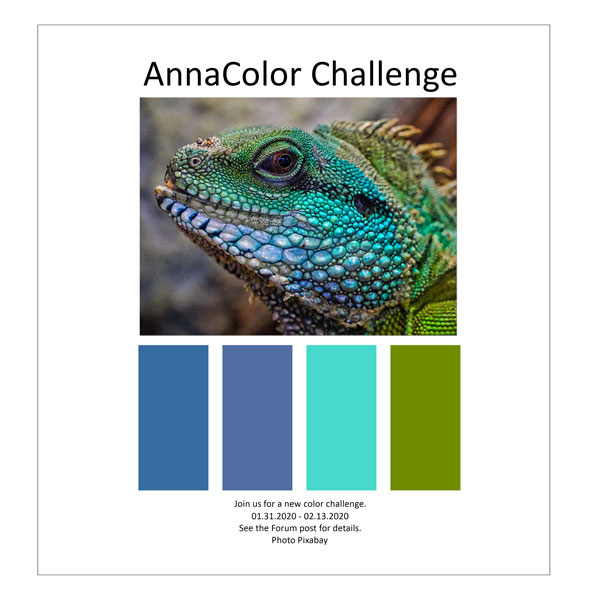 AnnaColor Challenge 01.31.2020 - 02.13.2020