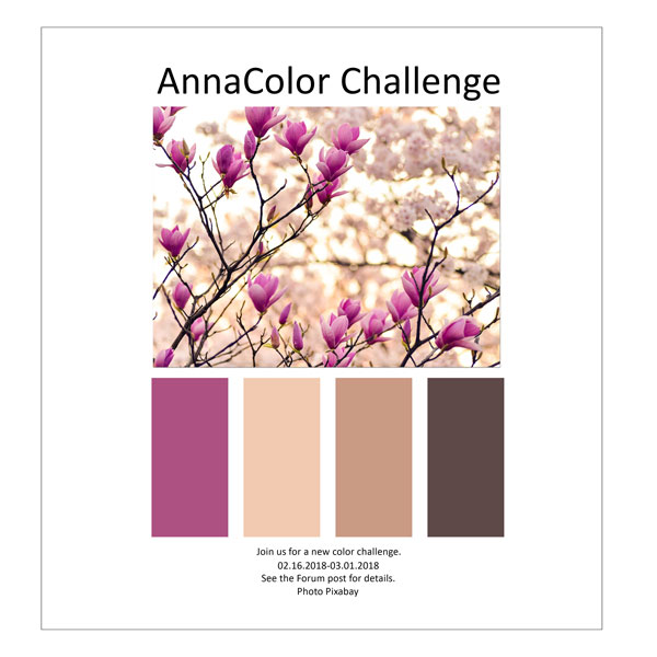 AnnaColor Challenge 02.16.2018-03.01.2018