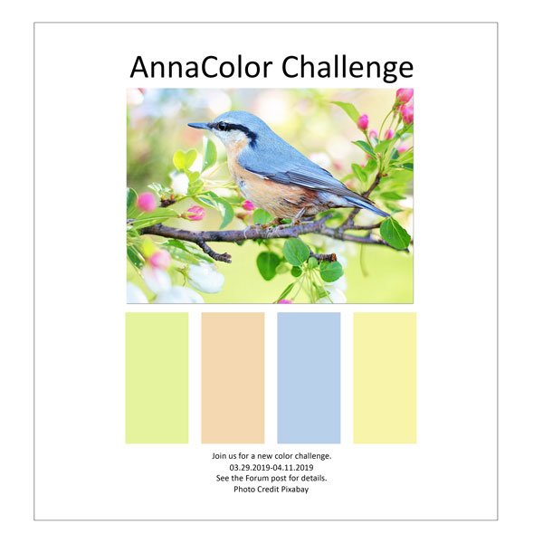 AnnaColor Challenge 03.39.2019 - 04.11.2019