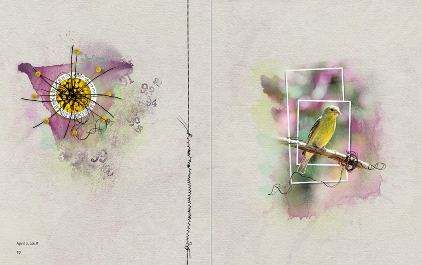 AnnaColor Challenge 04.13.2018 - Goldfinch