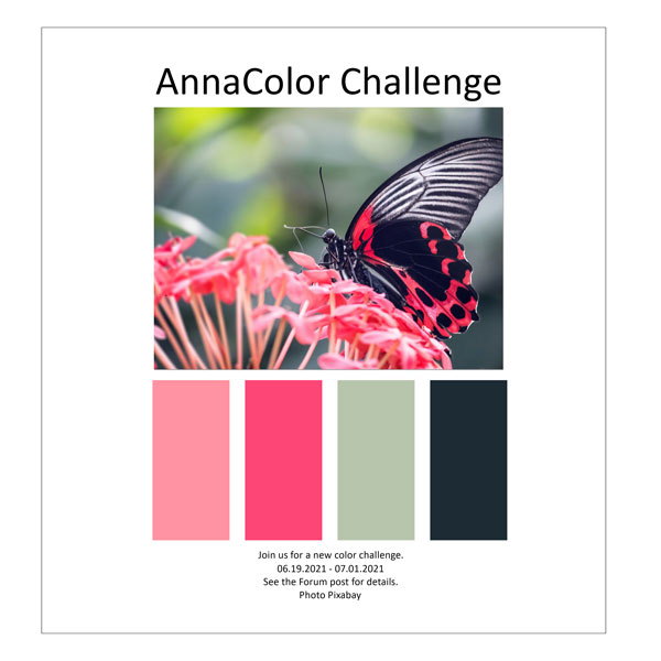 AnnaColor Challenge 06.19.2021 - 07.01.2021