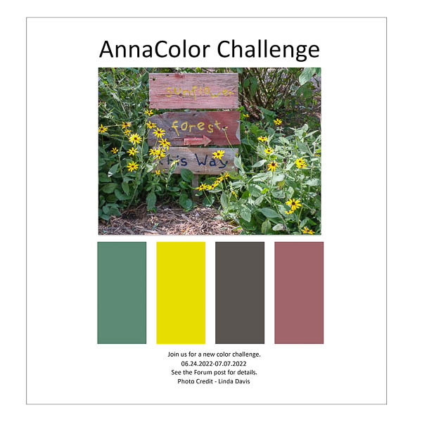 AnnaColor Challenge 06.24.22-07.07.22
