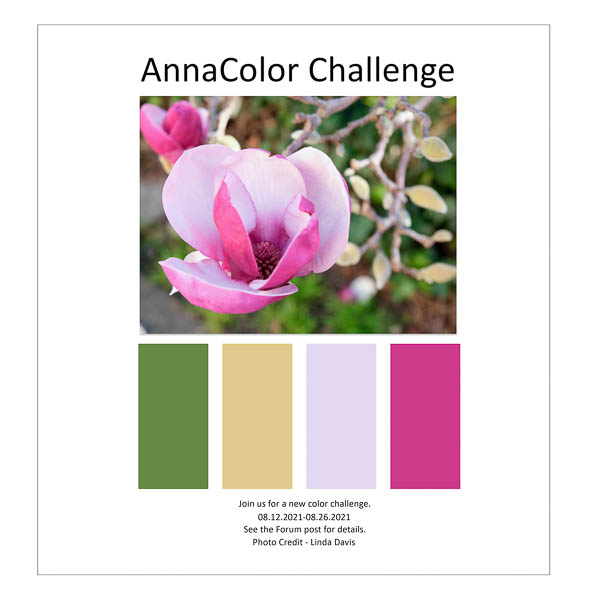 AnnaColor Challenge 08.12.2021-08.26.2021.jpg