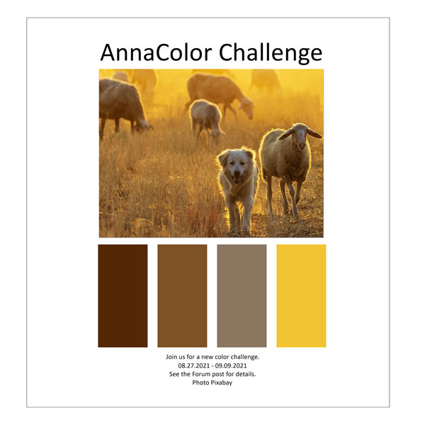 AnnaColor Challenge 08.27.2021 - 09.09.2021