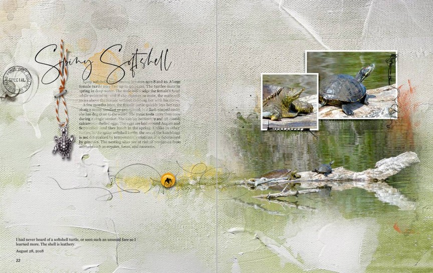 AnnaColor Challenge 08.31.2018 - Spiny Softshell