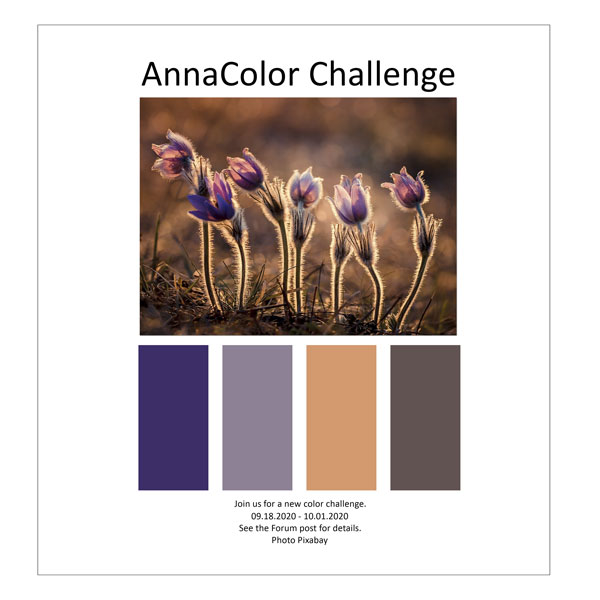 AnnaColor Challenge 09.18.2020 - 10.01.2020