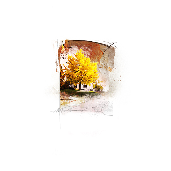AnnaColor Challenge 11.07-11.20.2014 - Autumn