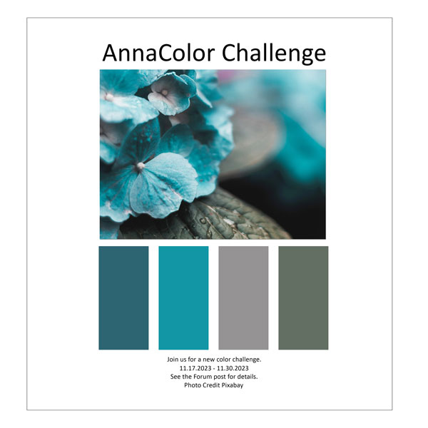 AnnaColor Challenge 11.17.2023 - 11.30.2023