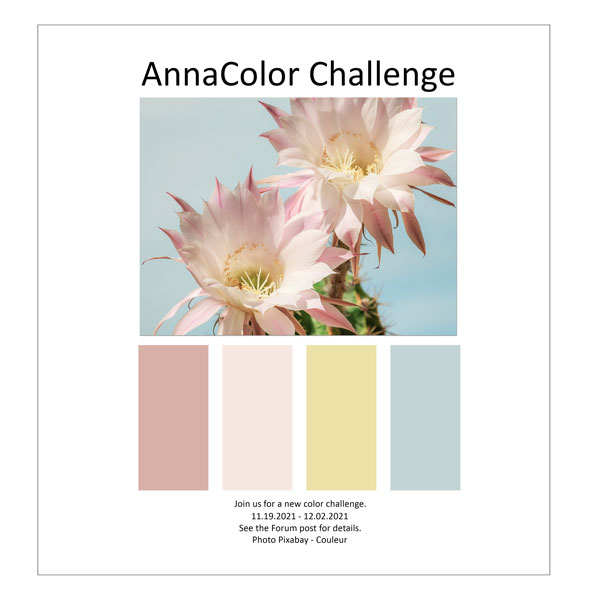 AnnaColor Challenge 11.19.2021 - 12.02.2021