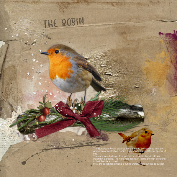 Annacolor challenge 12-1.jpg The Robin