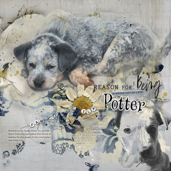 AnnaColor Challenge: Potter - Reason for Being