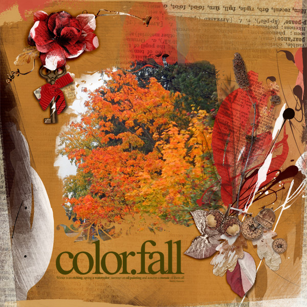 AnnaColor-Colorfall.jpg