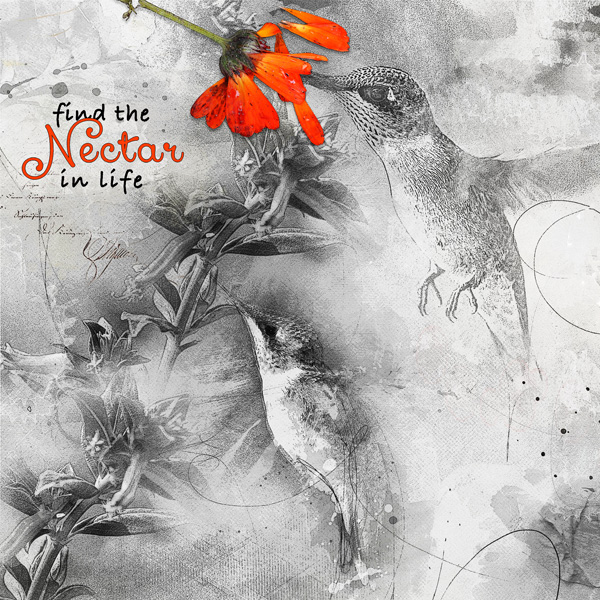 AnnaColor: Nectar