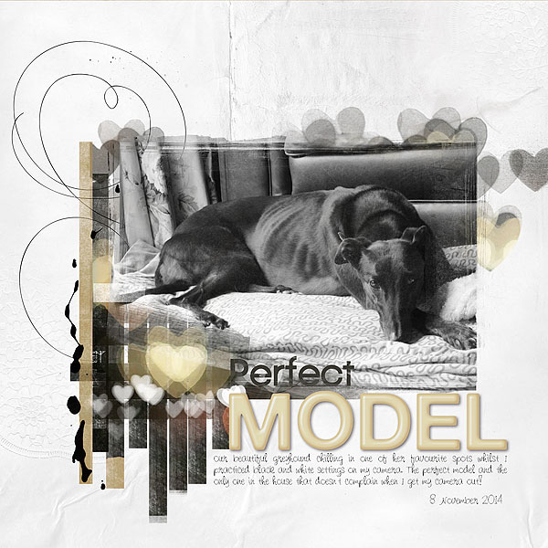 AnnaColor - Perfect Model