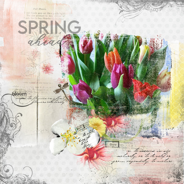 AnnaColor-Spring-ahead.jpg