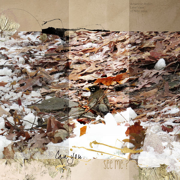 AnnaLift 01.17.15 - See Me?