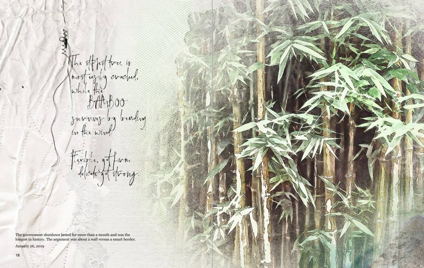 AnnaLift 01/26/18 - Bamboo