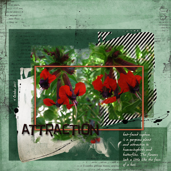 AnnaLift 02.17.12 - Attraction