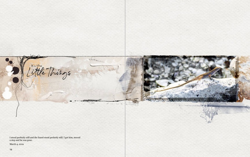 AnnaLift 03/16/19 - It's the Little Things