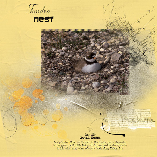 AnnaLift 04.13.12 - Tundra Nest