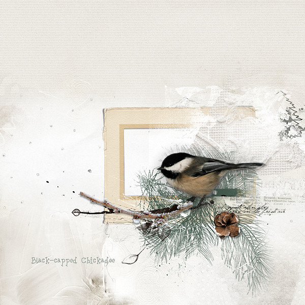 AnnaLift 06.07.14 - Winter Chickadee