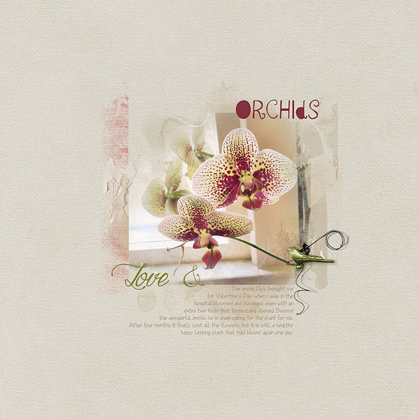 AnnaLift 07/20/19 - Love & Orchids