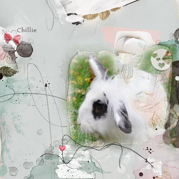 *AnnaLift 1.31.15 - 2.6.15* Chillie Bunny